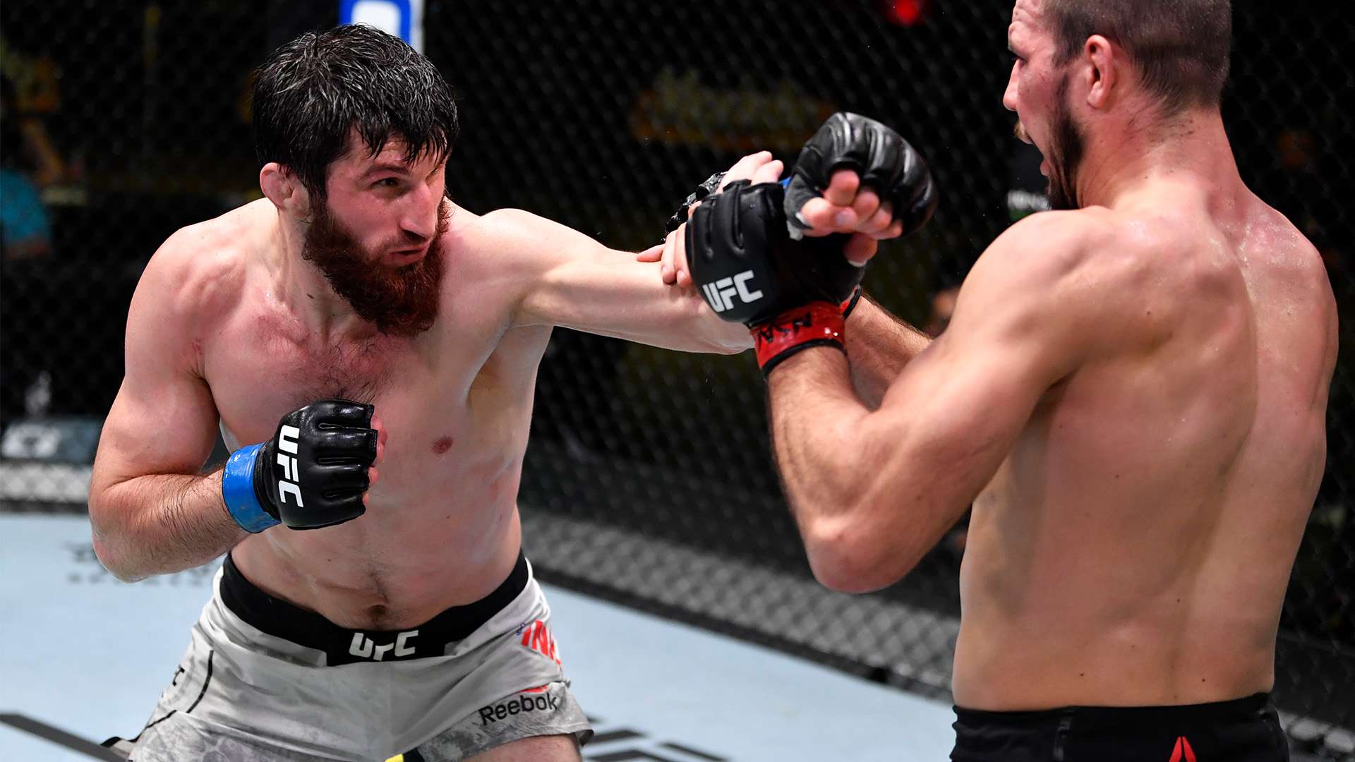 球迷津津乐 球迷津津乐