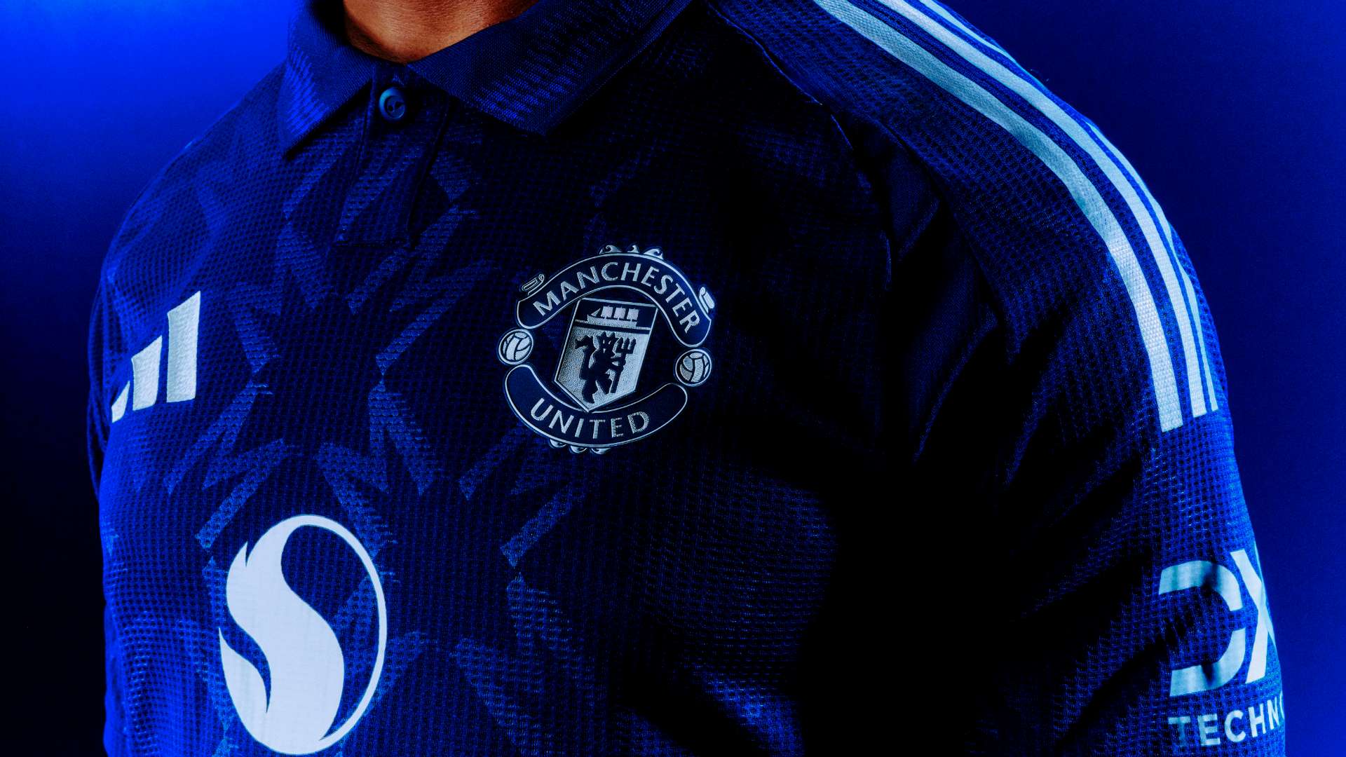 带来了多样 带来了多样